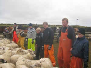 Mikið fjör í réttunum